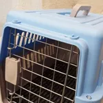 Box transporte de animais Azul 8