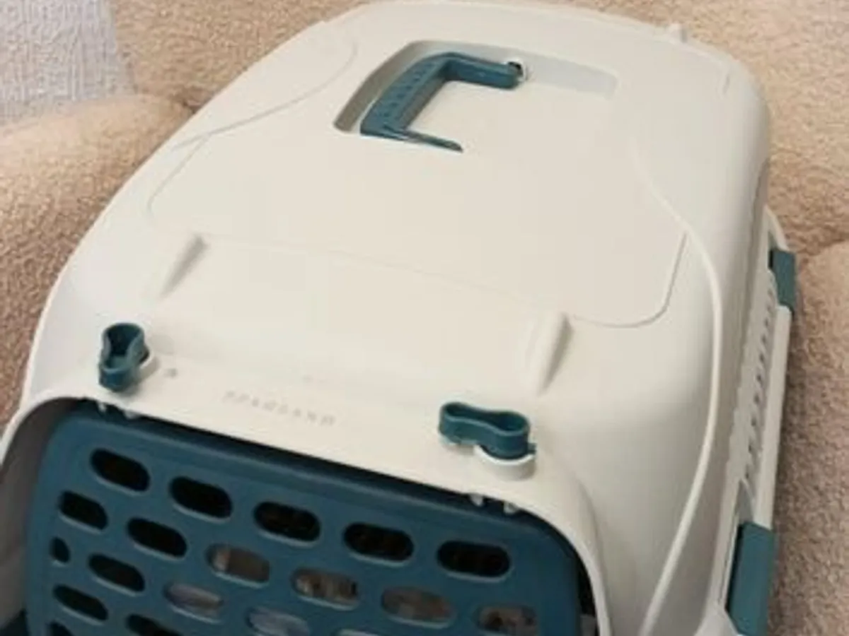 Box transporte de animais Verde