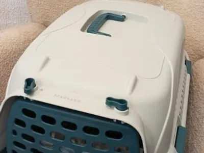 Box transporte de animais Verde