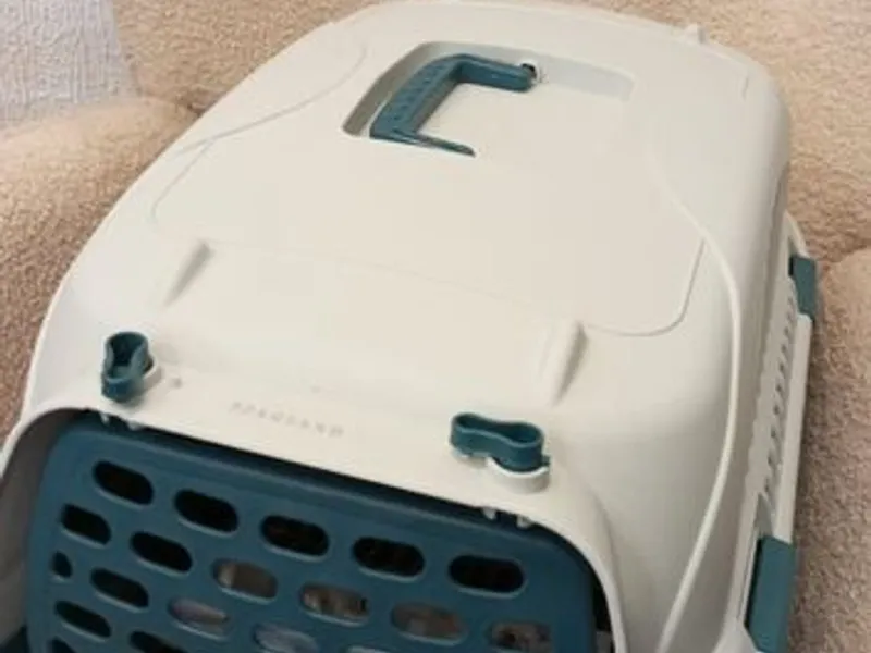 Box transporte de animais Verde