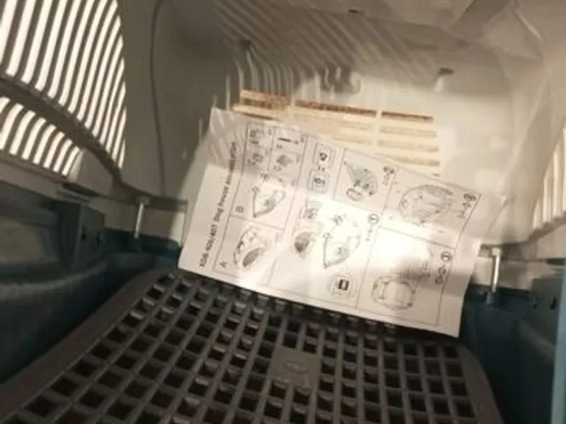 Box transporte de animais Verde