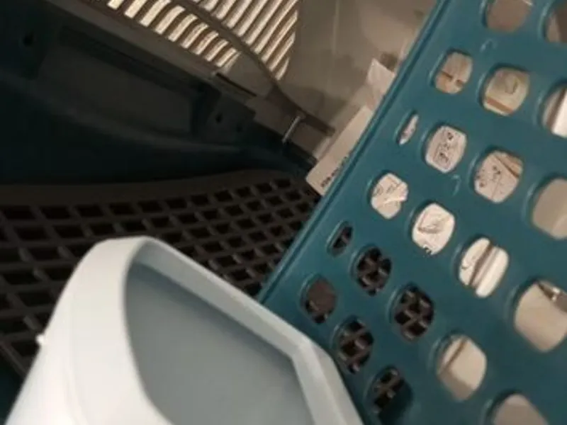 Box transporte de animais Verde