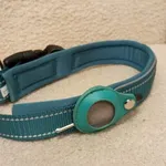 Coleira Verde c/local para localizador - Nova 3