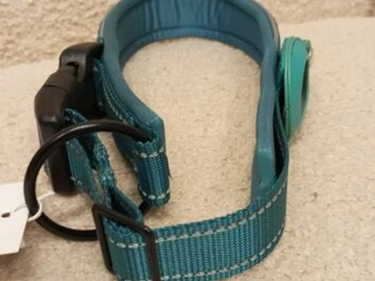 Coleira Verde c/local para localizador - Nova