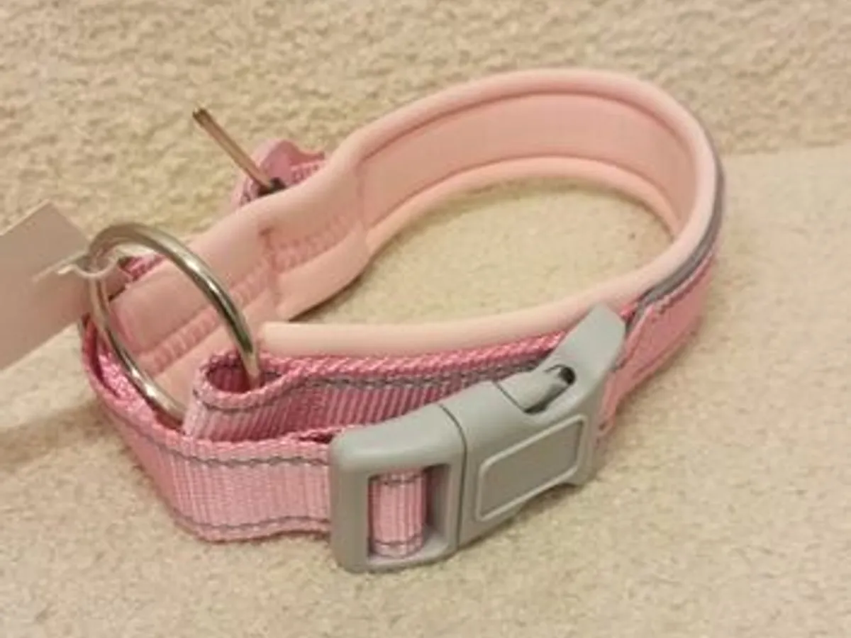 Coleira Rosa c/local para localizador - Nova