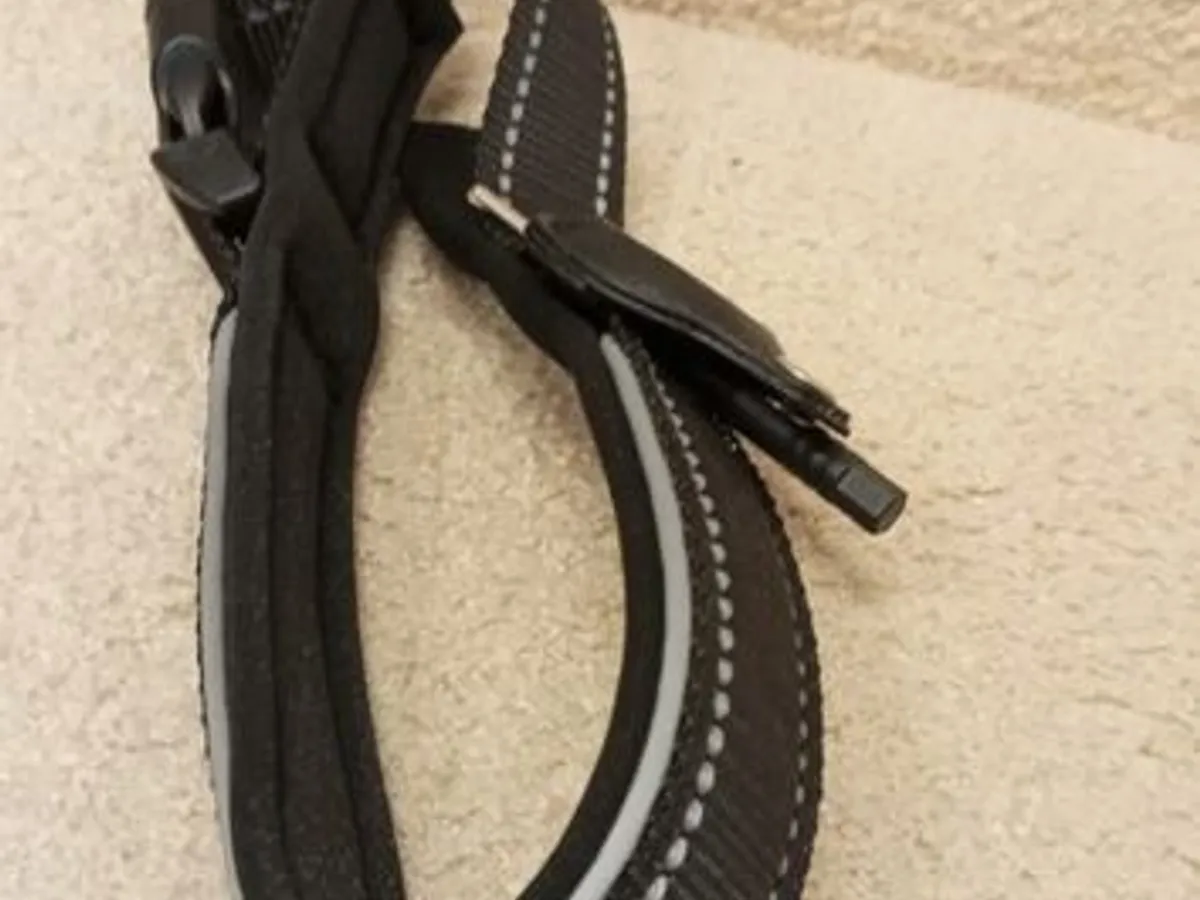 Coleira Preta c/local para localizador - Nova