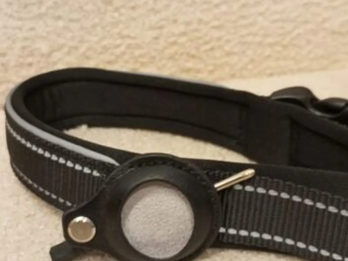 Coleira Preta c/local para localizador - Nova