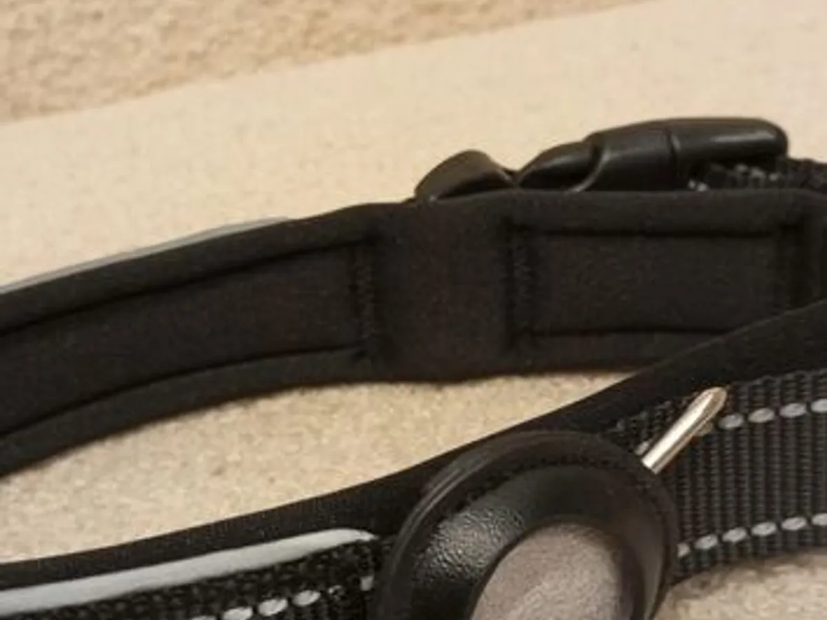 Coleira Preta c/local para localizador - Nova