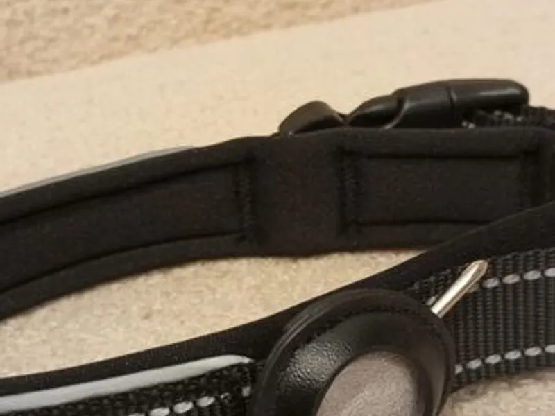 Coleira Preta c/local para localizador - Nova