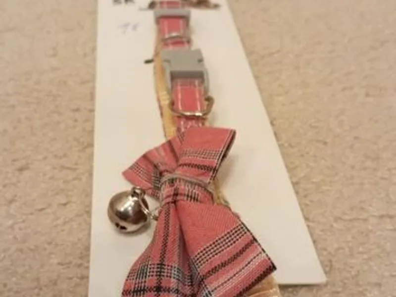 Coleira para gato - Nova