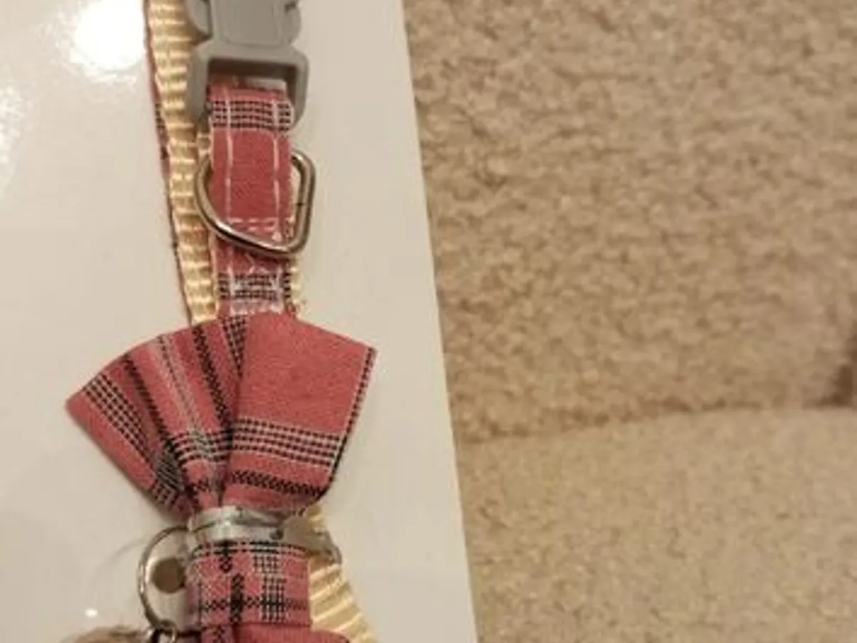 Coleira para gato - Nova