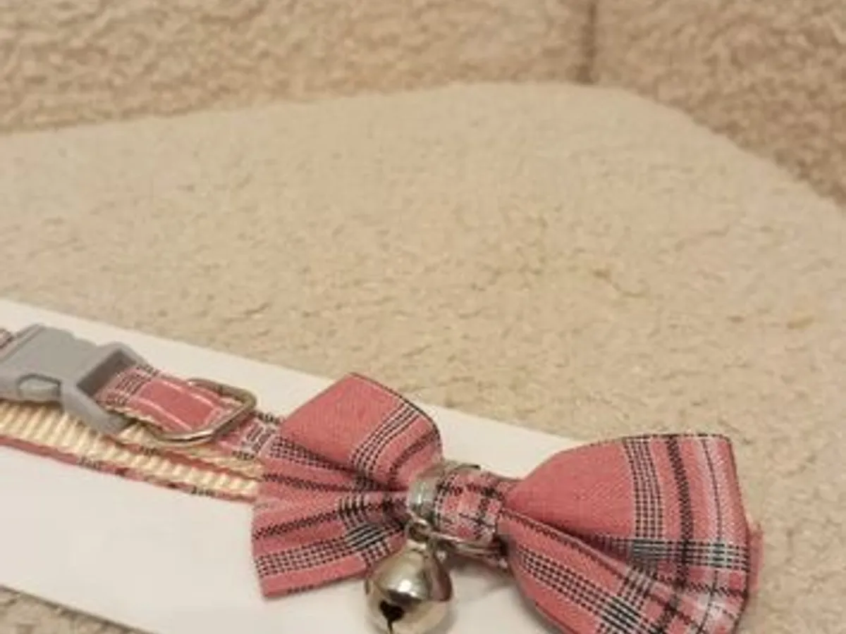 Coleira para gato - Nova