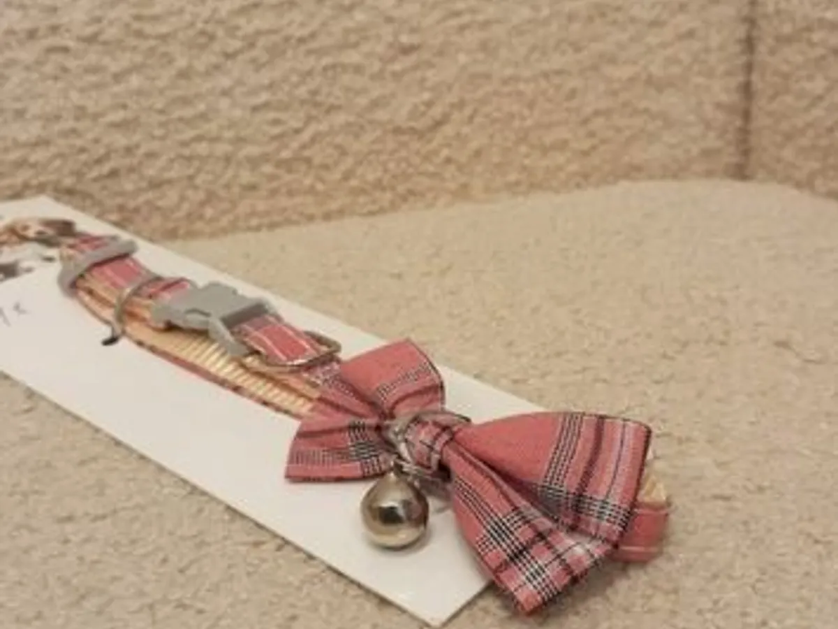 Coleira para gato - Nova