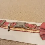 Coleira para gato - Nova 6