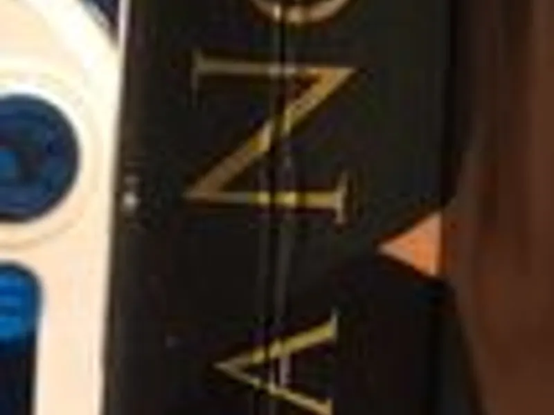 Memórias de uma Vida Inesperada - Rainha Noor