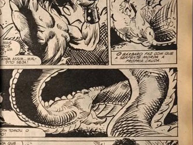 Conan Saga - 15 vols