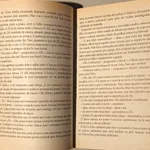 Os Cinco (2 livros) 4