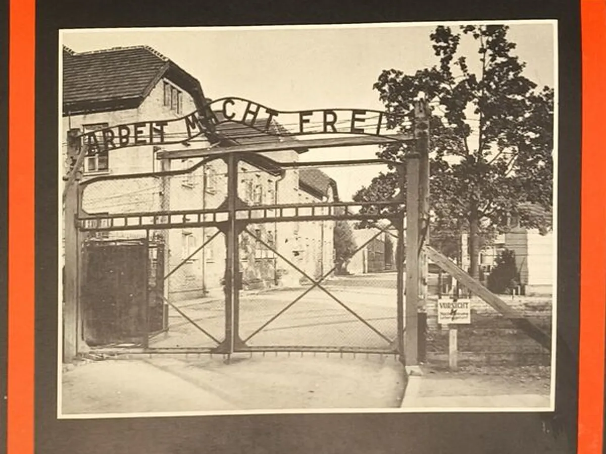 Os Médicos da Morte - Philippe Aziz