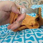 Blusa regata da marca MORGAN, cor laranja mostarda 4