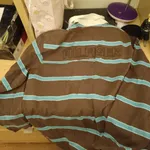 Polo Tommy Hilfiger –  Riscas  2