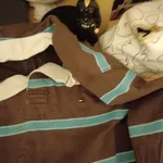 Polo Tommy Hilfiger –  Riscas  4