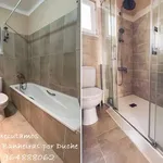 Executamos Substituição Banheira por Duche 7