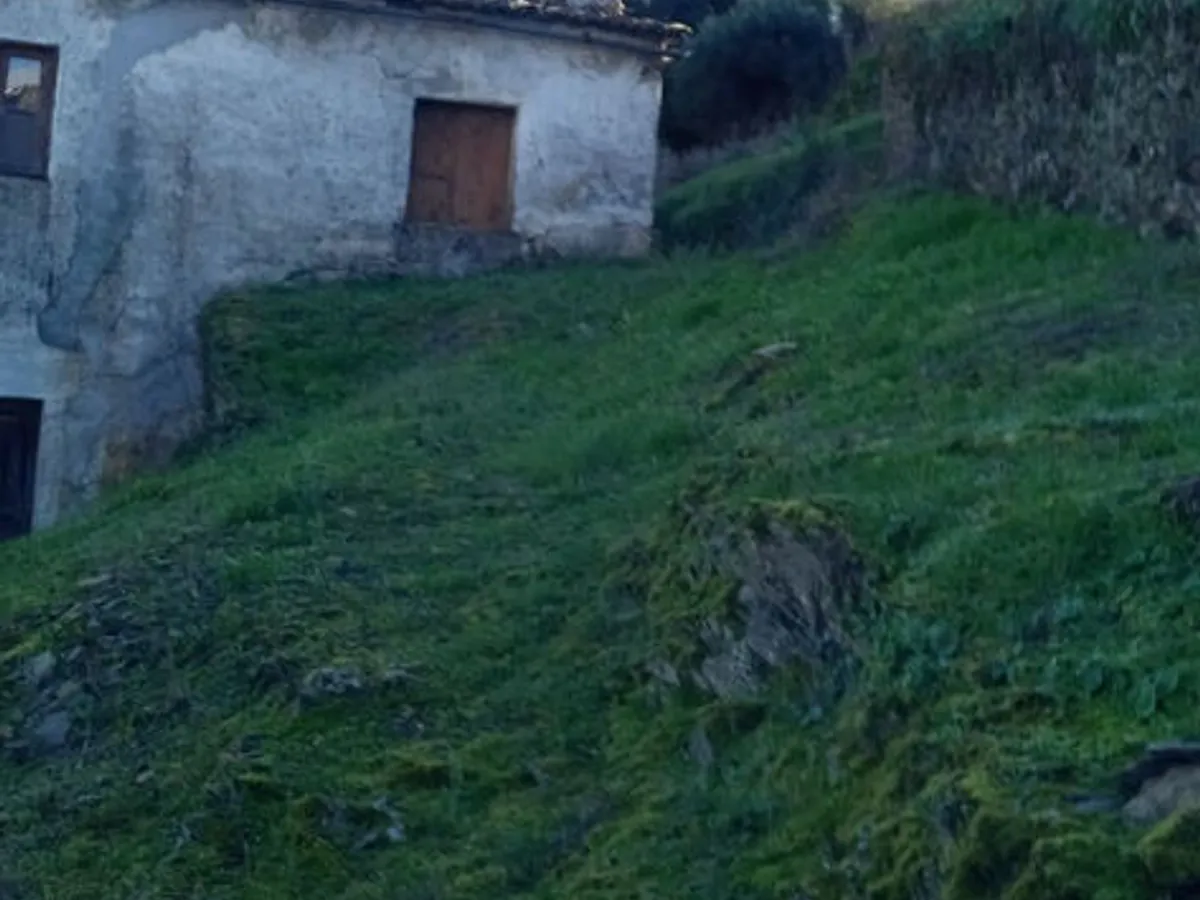  Casa em ruínas em mós Moncorvo 