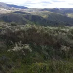 Terreno rústico em sequeiros  5