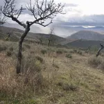 Terreno rústico em sequeiros  1