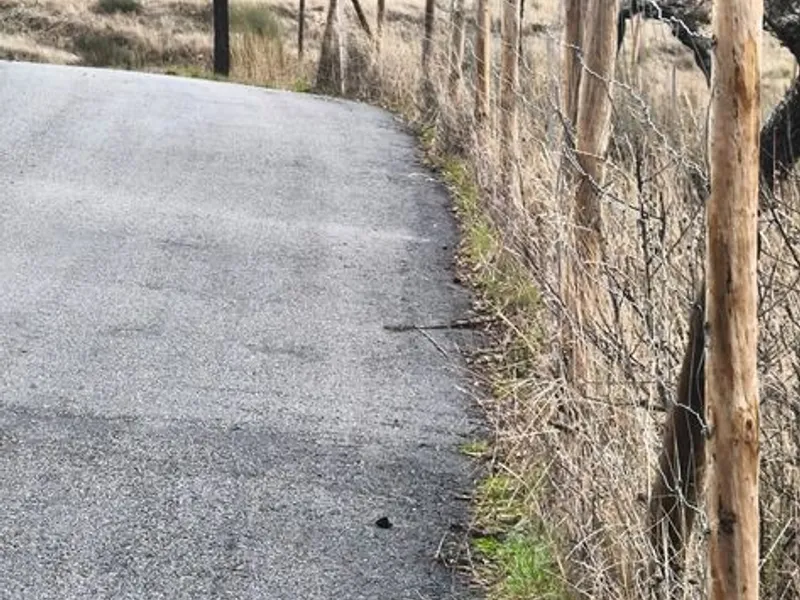 Terreno rústico em sequeiros 