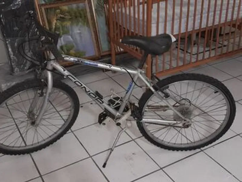 Bicicleta roda 24