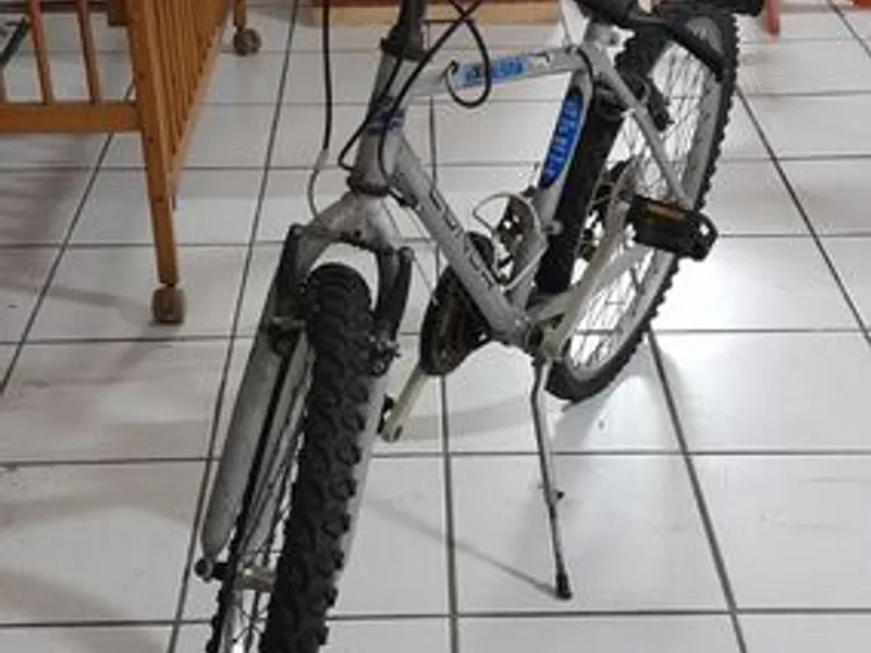 Bicicleta roda 24