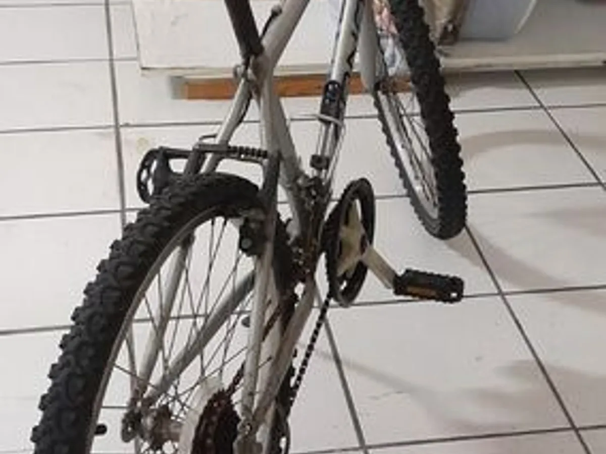 Bicicleta roda 24