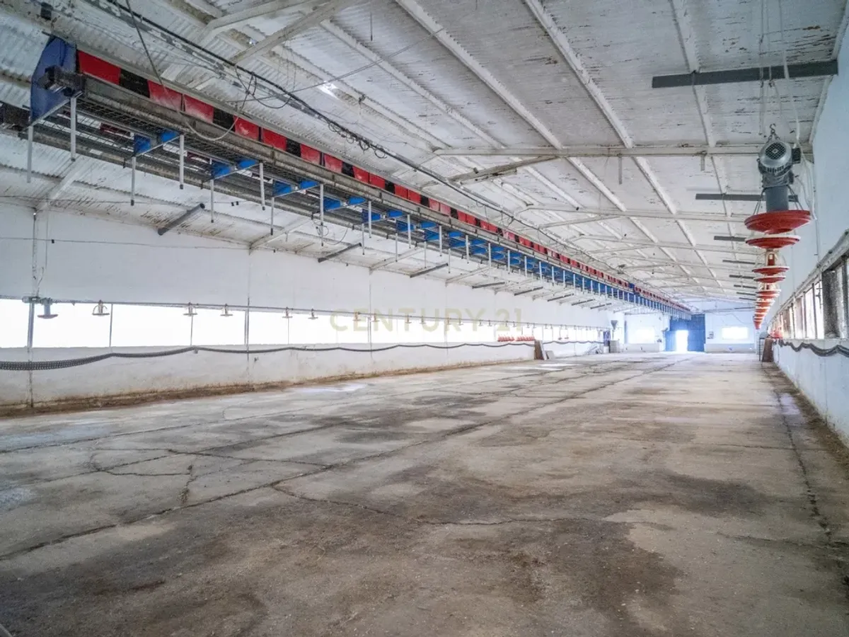 ## NAVES CON PARCELA N.:5269 (Precio: 435.000 Euro)