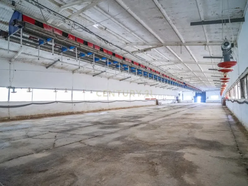 ## NAVES CON PARCELA N.:5269 (Precio: 435.000 Euro)