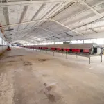 ## NAVES CON PARCELA N.:5269 (Precio: 435.000 Euro) 2