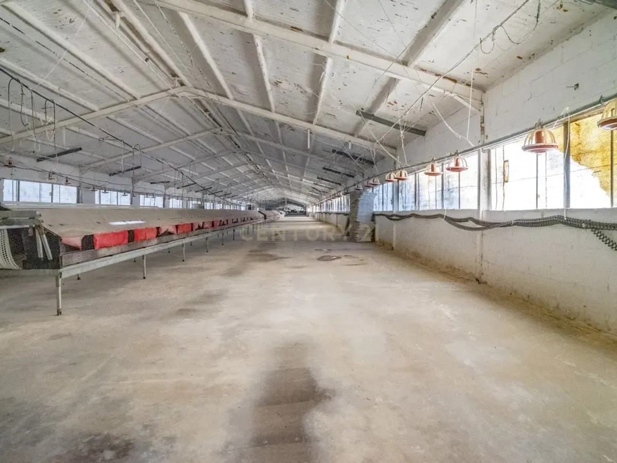 ## NAVES CON PARCELA N.:5269 (Precio: 435.000 Euro)