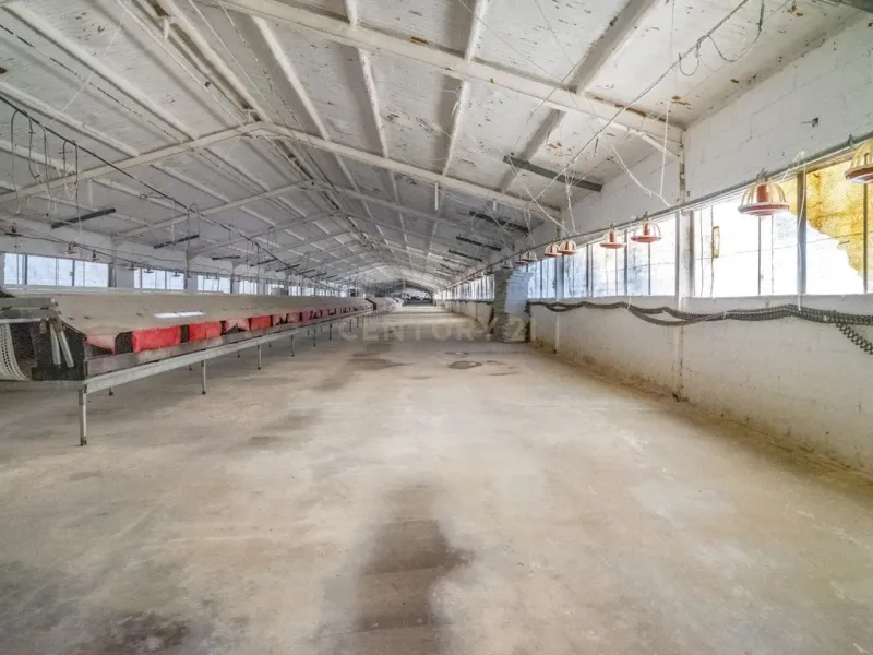 ## NAVES CON PARCELA N.:5269 (Precio: 435.000 Euro)