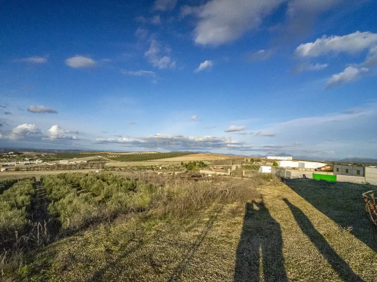 ## NAVES CON PARCELA N.:5269 (Precio: 435.000 Euro)