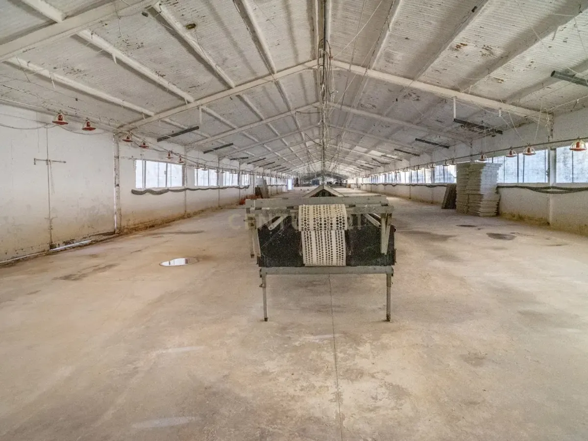 ## NAVES CON PARCELA N.:5269 (Precio: 435.000 Euro)