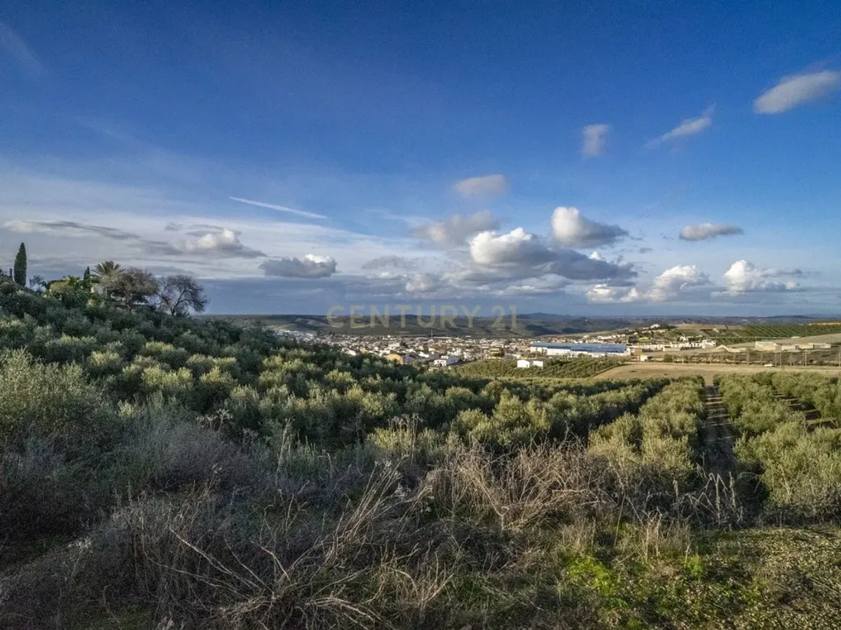 ## NAVES CON PARCELA N.:5269 (Precio: 435.000 Euro)