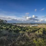 ## NAVES CON PARCELA N.:5269 (Precio: 435.000 Euro) 6