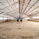 ## NAVES CON PARCELA N.:5269 (Precio: 435.000 Euro) 7