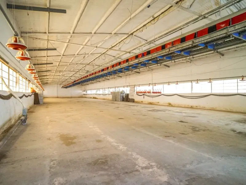 ## NAVES CON PARCELA N.:5269 (Precio: 435.000 Euro)