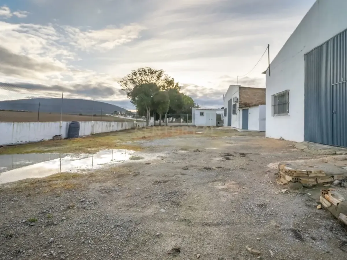 ## NAVES CON PARCELA N.:5269 (Precio: 435.000 Euro)