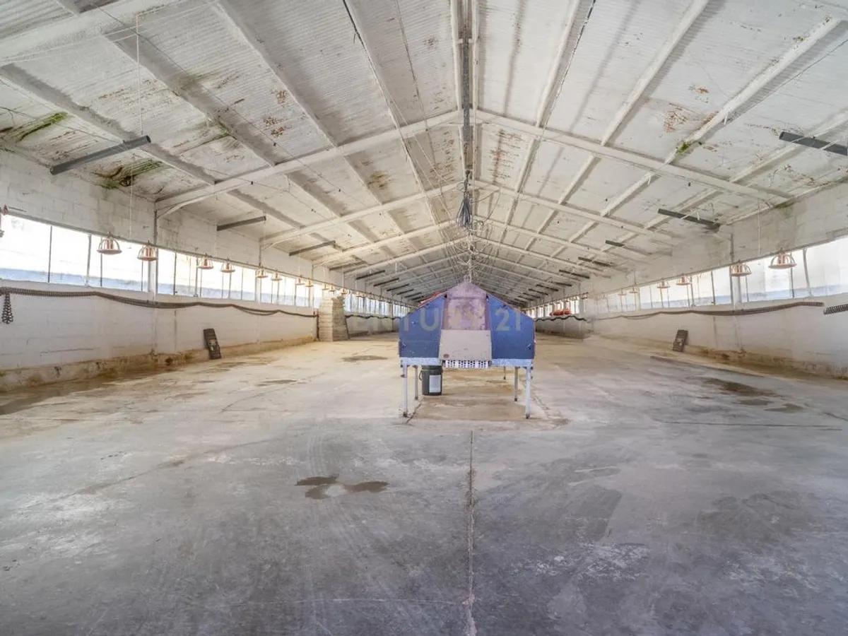 ## NAVES CON PARCELA N.:5935 (Precio: 985.000 Euro)