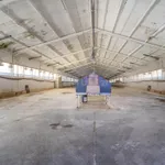 ## NAVES CON PARCELA N.:5935 (Precio: 985.000 Euro) 2