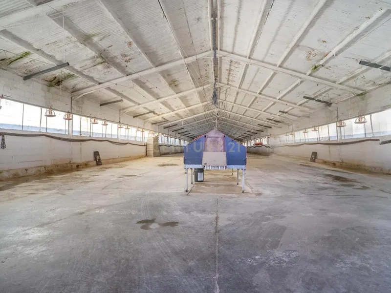 ## NAVES CON PARCELA N.:5935 (Precio: 985.000 Euro)