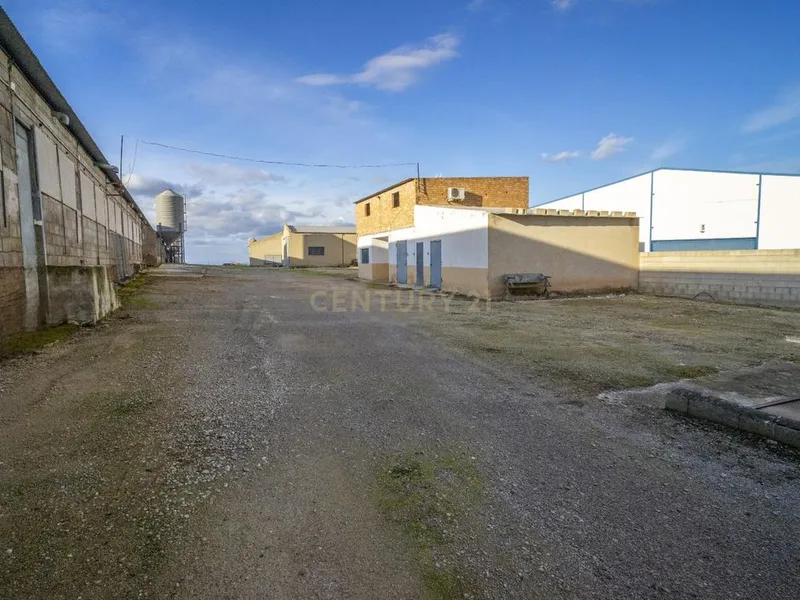 ## NAVES CON PARCELA N.:5935 (Precio: 985.000 Euro)