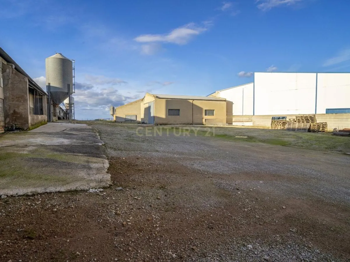 ## NAVES CON PARCELA N.:5935 (Precio: 985.000 Euro)